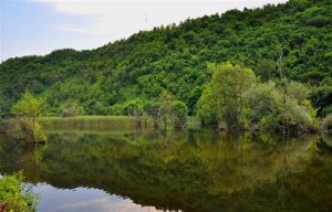 Jezero_Staraca_42134234